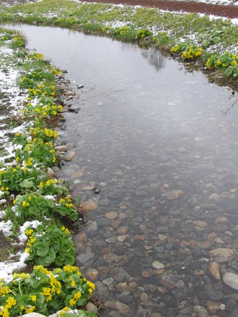 a0061977_2036429.jpg