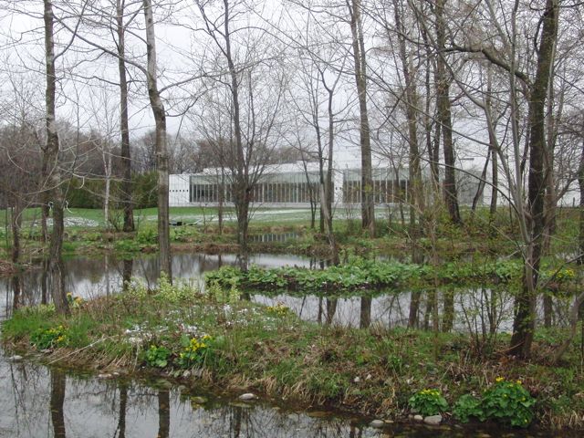 a0061977_2039289.jpg