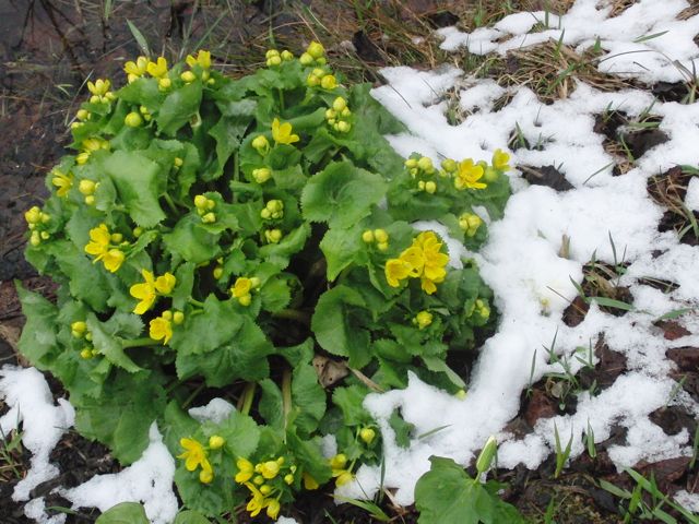 a0061977_20402497.jpg