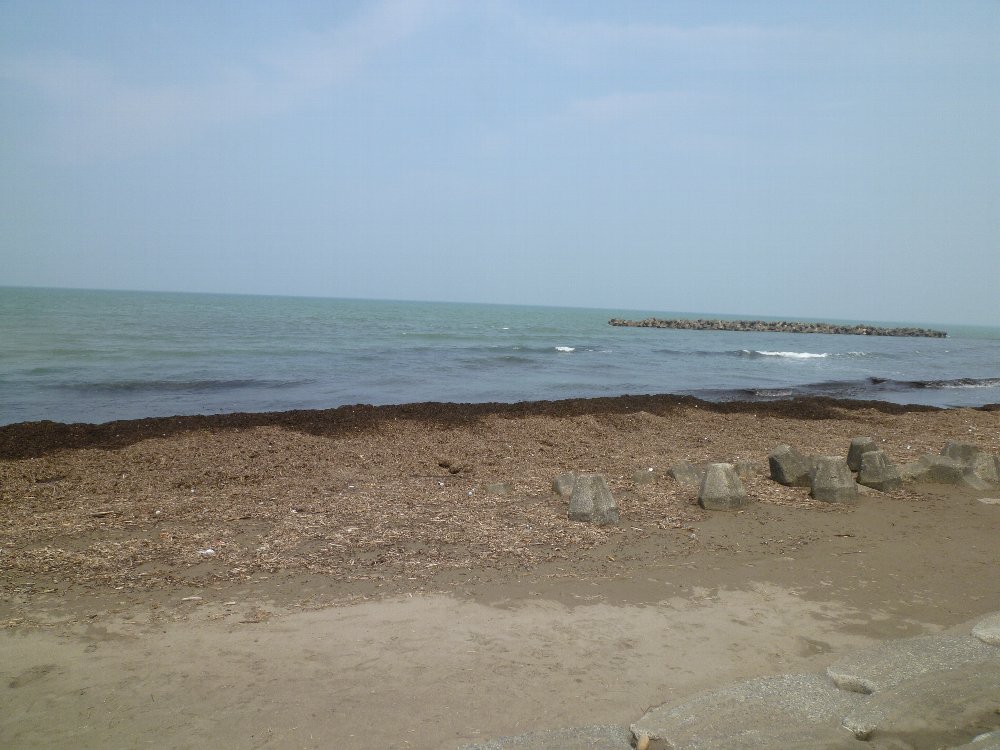 直江津海岸ー漂流物!_e0065084_14531469.jpg