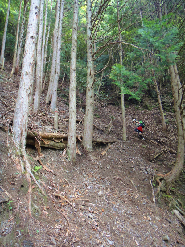 果無山脈ファストパッキング 2011/5/09-10 _b0220886_0144715.jpg