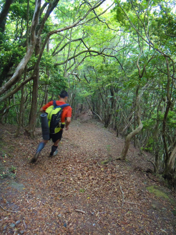 果無山脈ファストパッキング 2011/5/09-10 _b0220886_05112.jpg