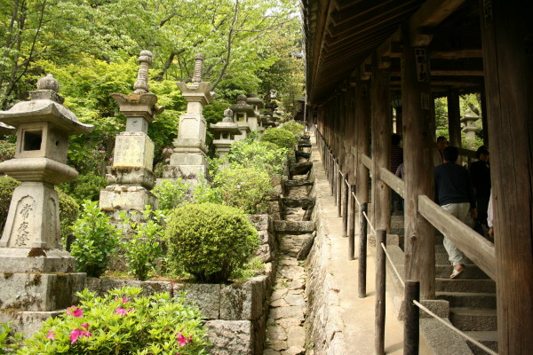 奈良散策記 その2 長谷寺_b0118987_81031.jpg