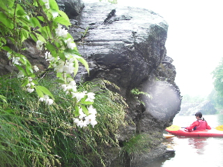 しっとり雨_b0225495_2201583.jpg