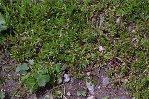 a0183301_0151056.jpg