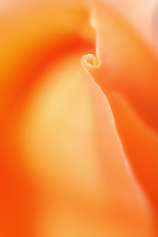 e0031502_19544662.jpg