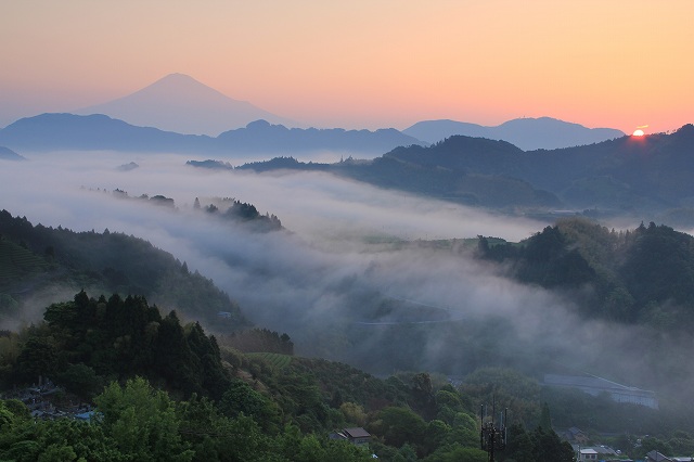 a0188405_6585890.jpg