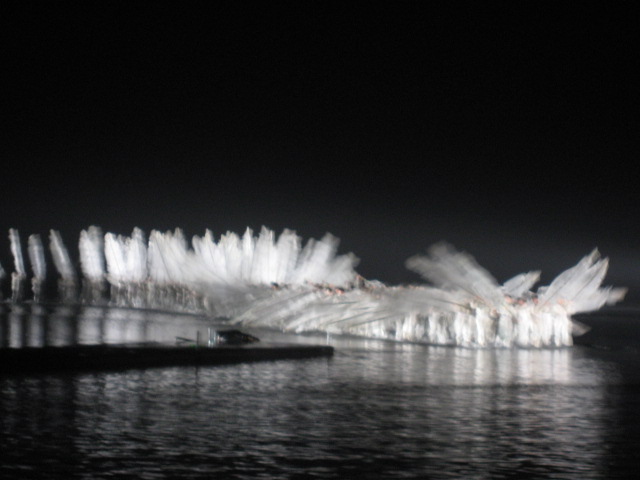 a0100706_231577.jpg