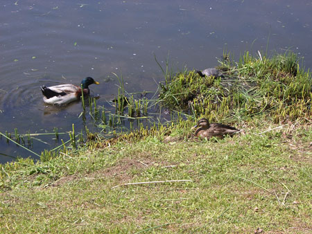 パレット通信37    2011年5月18日（水）_b0129807_20423526.jpg