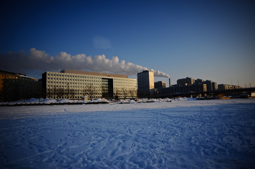 d0182409_1743922.jpg