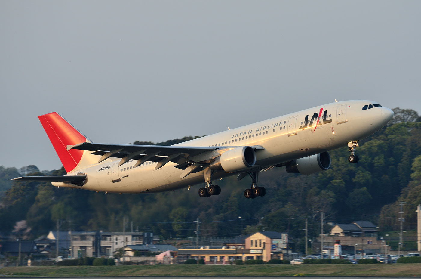 AIRBUS A300-600R / JA016D : SKY LOUNGE GARDEN -transporter side- AIRBUS A300-600R / JA016D : SKY LOUNGE GARDEN -transporter side-