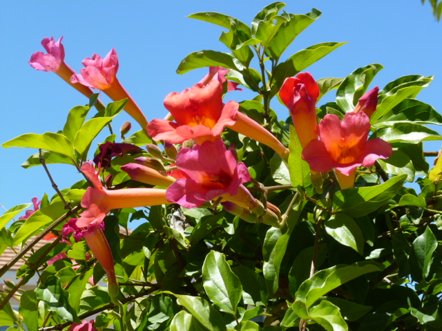 a0144811_521997.jpg