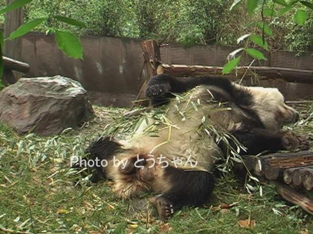 f0079716_14231985.jpg