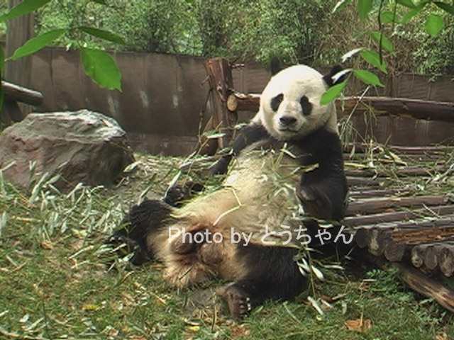 f0079716_1423925.jpg