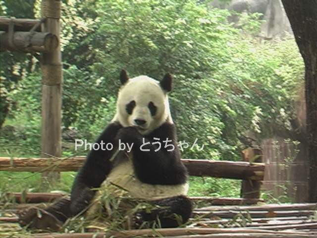 f0079716_14264219.jpg