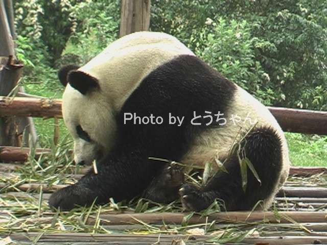 f0079716_14265332.jpg