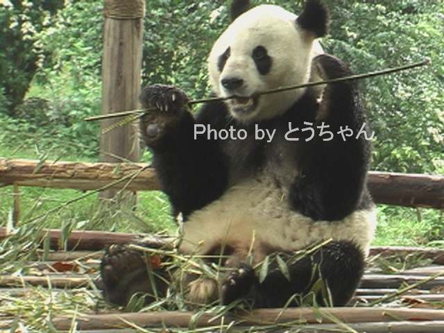 f0079716_14331795.jpg