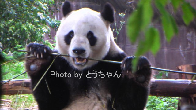 f0079716_1434191.jpg