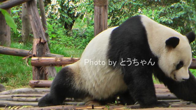 f0079716_19101855.jpg