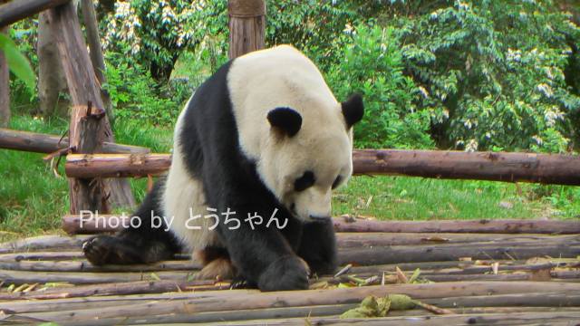 f0079716_1995871.jpg