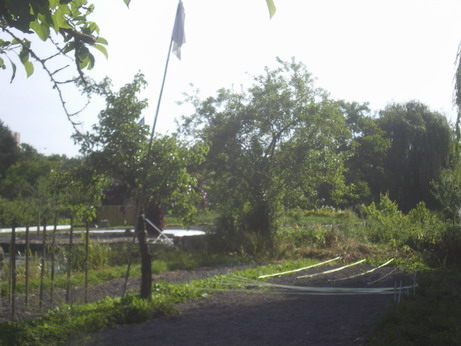 c0124619_21203481.jpg