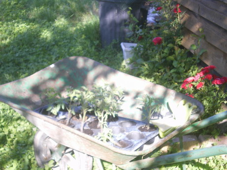 c0124619_2121187.jpg