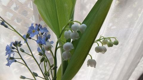 すずらん Lily Of The Valley ル マタン イデアル 理想的な朝 すずらん Lily Of The Valley ル マタン イデアル 理想的な朝