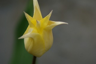 f0170524_16555811.jpg