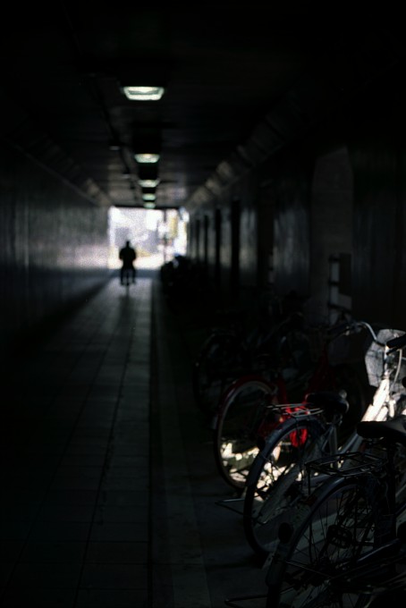 2011-5-18　いつでも何かを探している_c0136330_133923100.jpg