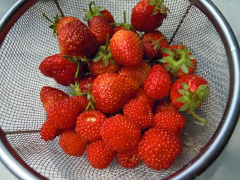e0097534_1831186.jpg