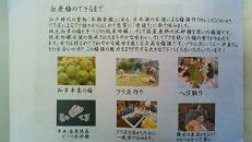 「白老会」 ~ 第5回 「梅酒会」 スペシャルver_e0173738_1255733.jpg