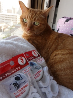 ケーブルクリップ猫 しぇる編。_a0143140_21513750.jpg
