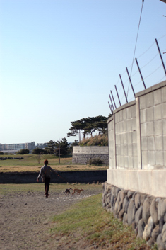 a0082146_02678.jpg