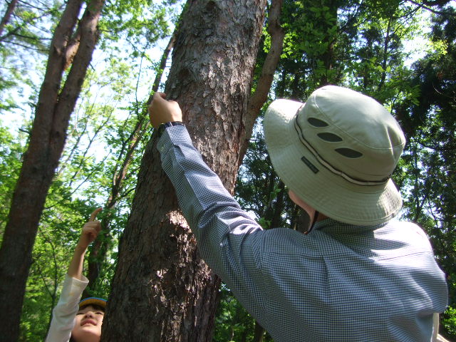夢の森公園に自然体験へ_d0166047_2123164.jpg