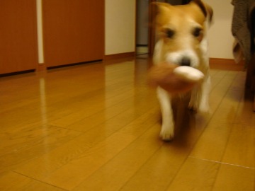 d0143957_22303765.jpg