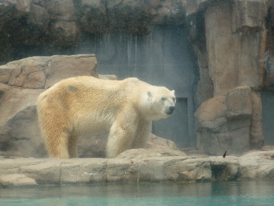 b0165358_23195710.jpg