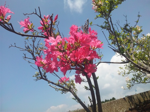 ちょいと箱根まで。_a0163159_19503874.jpg