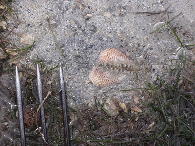 c0180460_23483524.jpg