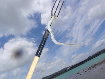 c0180460_23493733.jpg