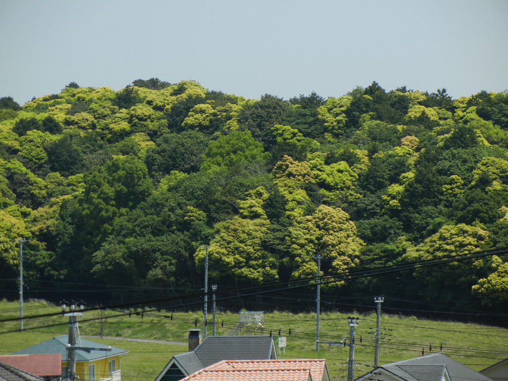 2011年5月18日(水)画材探し!_f0060461_16454527.jpg