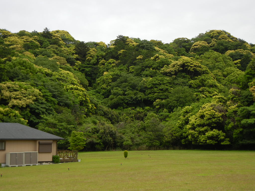 ２０１１年５月１８日（水）画材探し！_f0060461_16481852.jpg