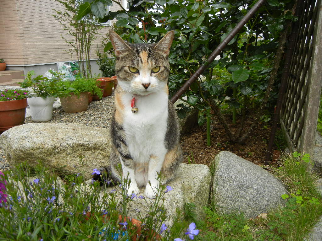 2011年5月18日(水)画材探し!_f0060461_17262147.jpg