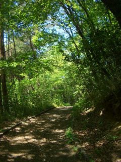太陽と仲良くする・・・公園でリポートです。_d0029276_13472629.jpg