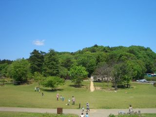 太陽と仲良くする・・・公園でリポートです。_d0029276_14252464.jpg