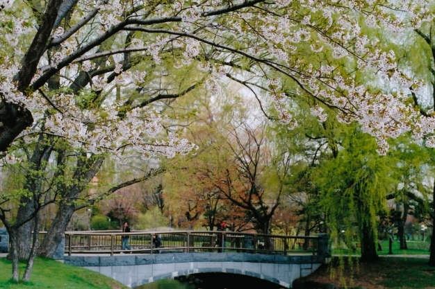 e0199776_20285929.jpg