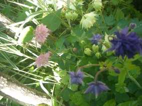 何一つ損われない・・・すごさ!_a0053480_15572821.jpg