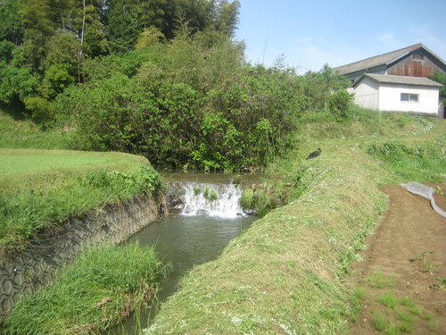 d0195183_1254290.jpg