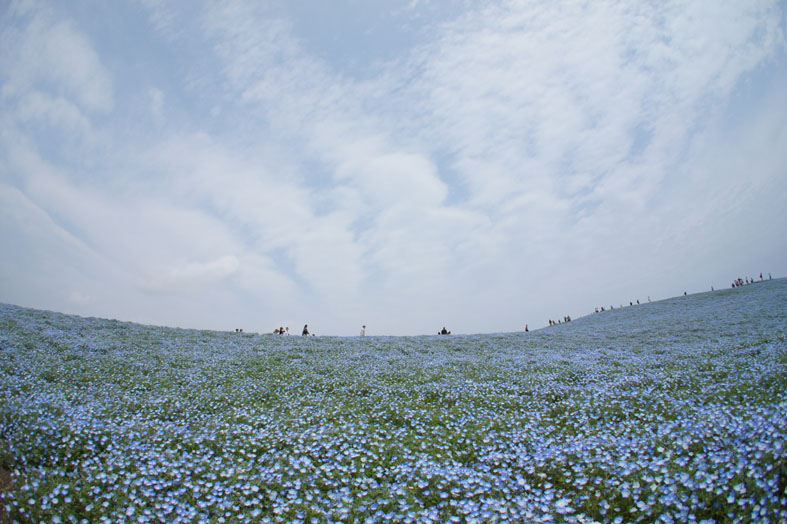 f0063686_2228585.jpg