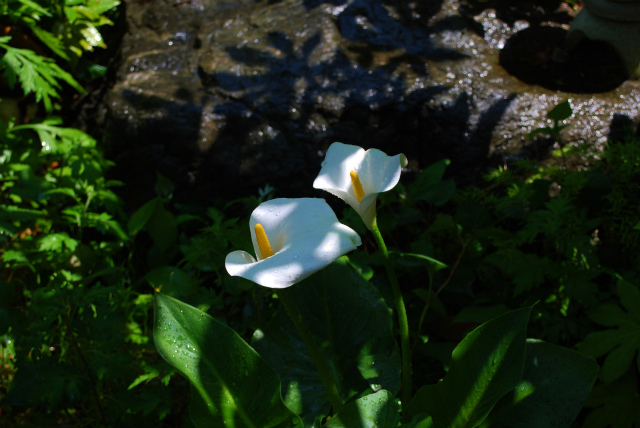 c0132387_02112.jpg