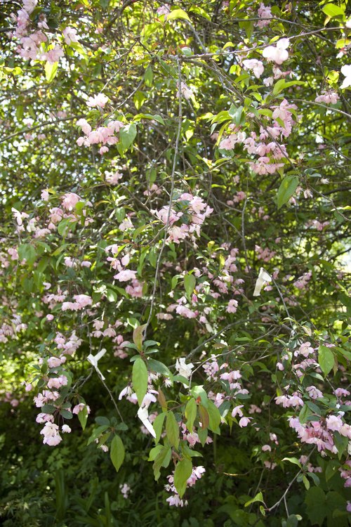 e0230987_1821421.jpg